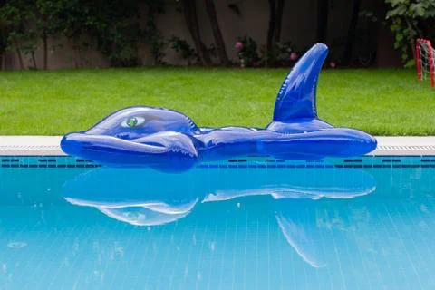 Left side view of dark blue inflatable fish on blue swimming pool Stock Photos