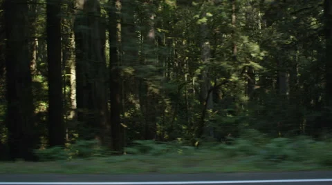 Left Side view of a Driving Plate: Car travels east on the Redwood Highway near Stock Footage 59511348