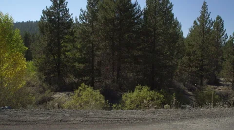 Left Side view of a Driving Plate: Car turns left onto Silver Lake Road (County Stock Footage 59512158