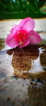 Left on Sidewalk Stock Photos