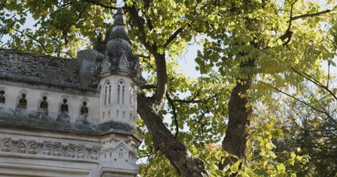 Left slide shot leafy tree to gothic crypt in cemetery Paris Stock Footage 168653698