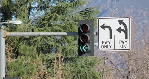 Left Turn Arrow Changes With Trees Stock-Footage 246394008