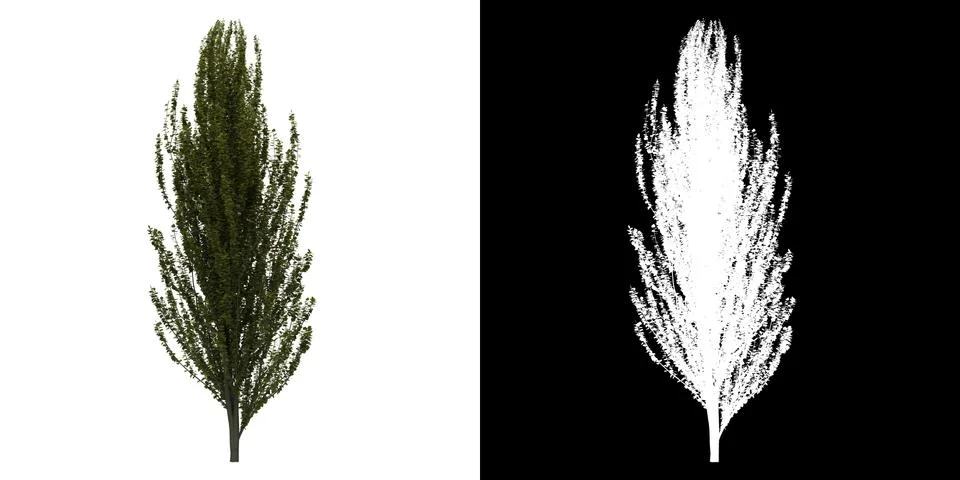 Left view of tree png with alpha channel to cutout made with 3D render Stock Illustration