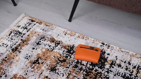 Left wallet on floor Stock-Footage 260454035