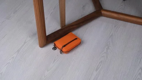 Left wallet on floor Stock Footage 260636633