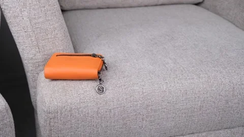 Left wallet on sofa Stock Footage 260500694