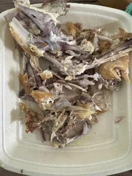 Leftover Chicken Bones After Meat Consumption 1 Stock Photos