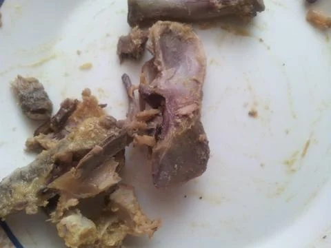 Leftover chicken bones in a white ceramic plate with white background Stock Photos