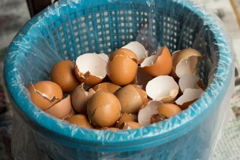 Leftover eggs shell in a trash can 스톡 사진