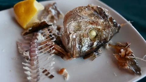 Leftover of the fish. Head and bones of the fish on plate. Stock Footage 293214498