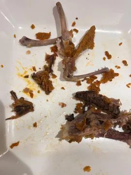 Leftover Fried Chicken Bones and Crumbs on a White Plate Stock Photos