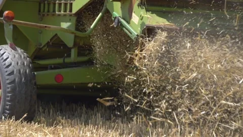 Leftover Wheat Falling Out Of Combine Harvester, Harvesting At Fall Stock Footage