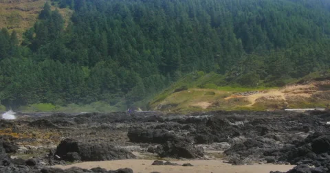 Leftward Pan Along the Coast of Oregon Stock Footage 44280478