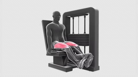 Leg Extension Video stock 155677947