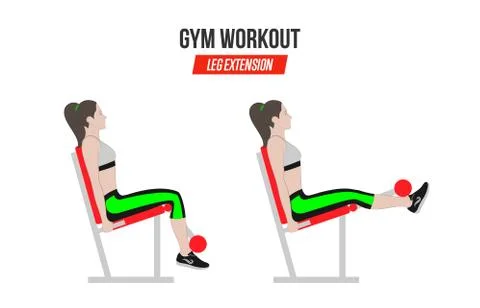 Leg extension. Leg extension in the simulator. Sport exercises. Stock Illustration