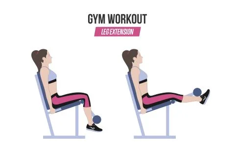 Leg extension. Leg extension in the simulator. Sport exercises. Stock Illustration