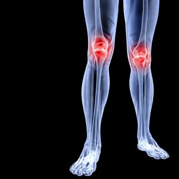 Leg Illustrazione stock