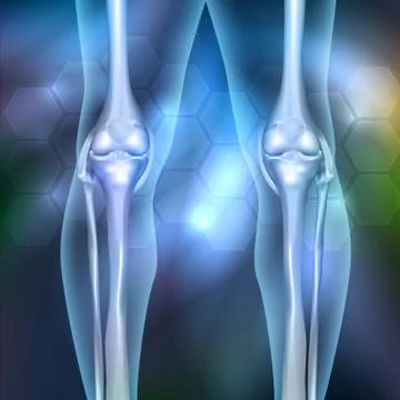 Leg joint anatomy Stock Illustration