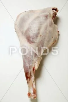 Leg of lamb Stock Photos