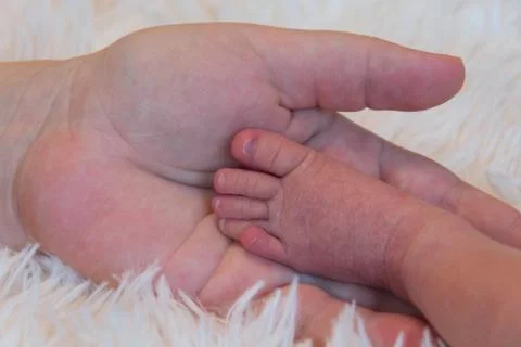 Leg in the palm Stock Photos