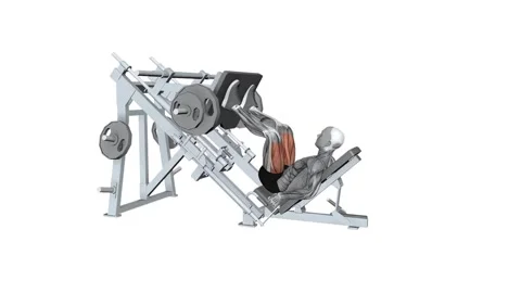 Leg press machine normal stance fitness exercise workout animation video mal Vidéo 258821597