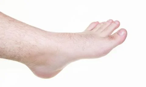 Leg on white background Stock Photos