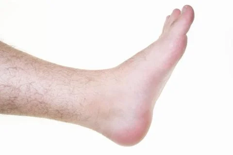 Leg on white background Stock Photos
