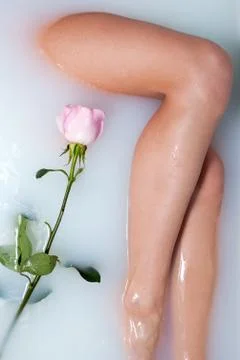 Leg of woman and rose Stock Photos