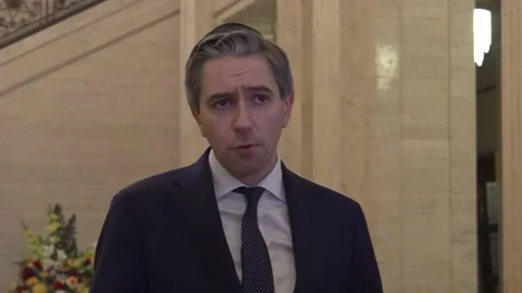 Legacy Act prevented ‘landing zone’ being reached for Troubles victims – Harris Stock Footage 300281233