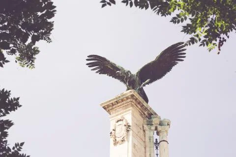 Legendary hawk of budapest Stock Photos