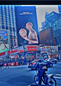 The legends of. Black Mamba Stock Photos