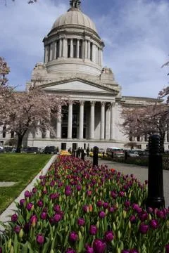 Legislative capitol building with tulip patch in front Stock Photos