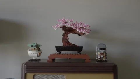Lego Bonsai Tree and Star Wars Characters Vidéo 337778366