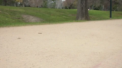 Legs 4K 動画素材 112291760