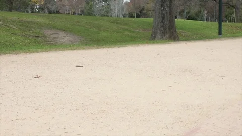 Legs 4K Stock Footage 112291964