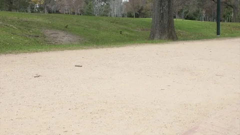 Legs 4K 動画素材 112292037