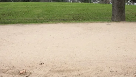 Legs 4K 動画素材 112292202