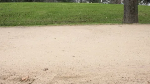 Legs 4K 動画素材 112292486