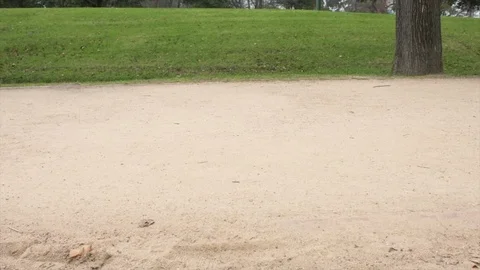 Legs 4K 動画素材 112292541