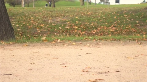 Legs 4K 動画素材 112296343