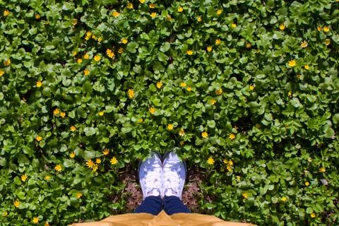 Legs and grass Stock Photos