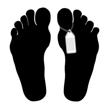 Legs are marked by death. The corpse in the morgue. Flat vector illustration Stock Illustration