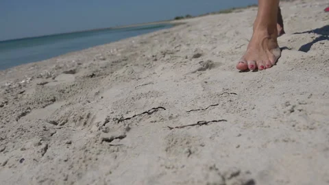 Legs are on the shells. Slow motion Vídeo Stock 111812655