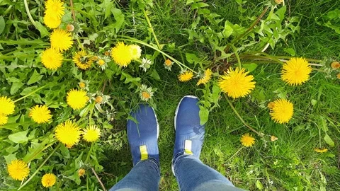 Legs in blue sneakers Stock Footage 274451417