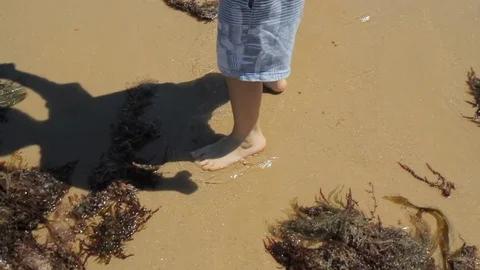 Legs boy playing on the sea on beach Video stock 114611222
