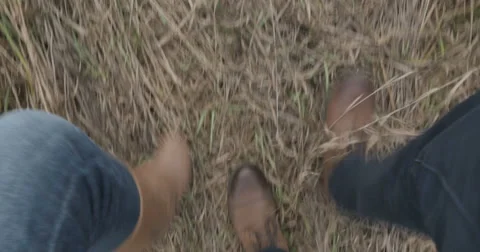 Legs in brown shoes men and women walking on the grass. Video stock 56626053