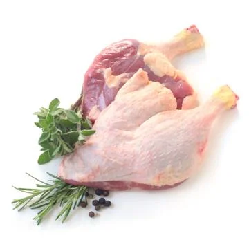 Legs Of Duck Stock Photos