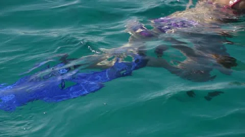 Legs in flippers Vídeo Stock 20203316