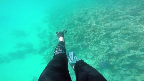 Legs with flippers underwater Stock Footage 73821228