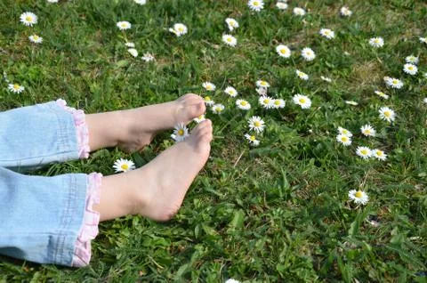 Legs in grass 2 Foto stock